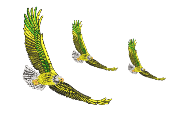 Birds Embroidery Design Review